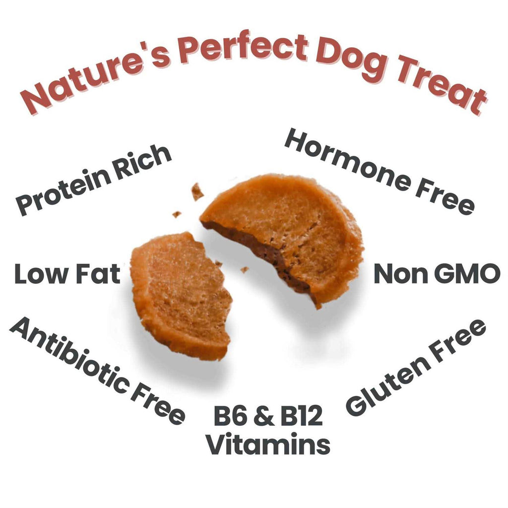Turkey Chips Dog Treats Z9562