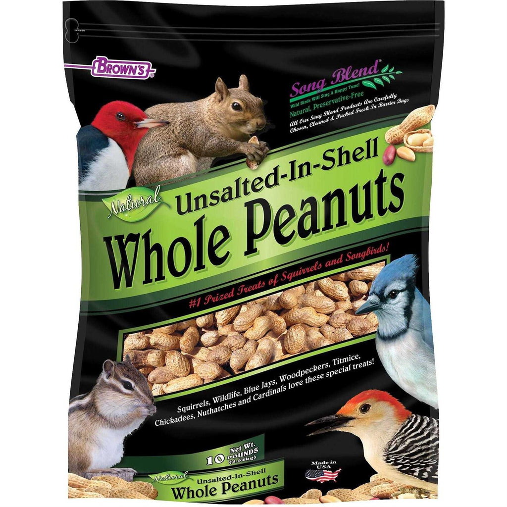 Unsalted In-Shell Whole Peanuts Bird Food M114