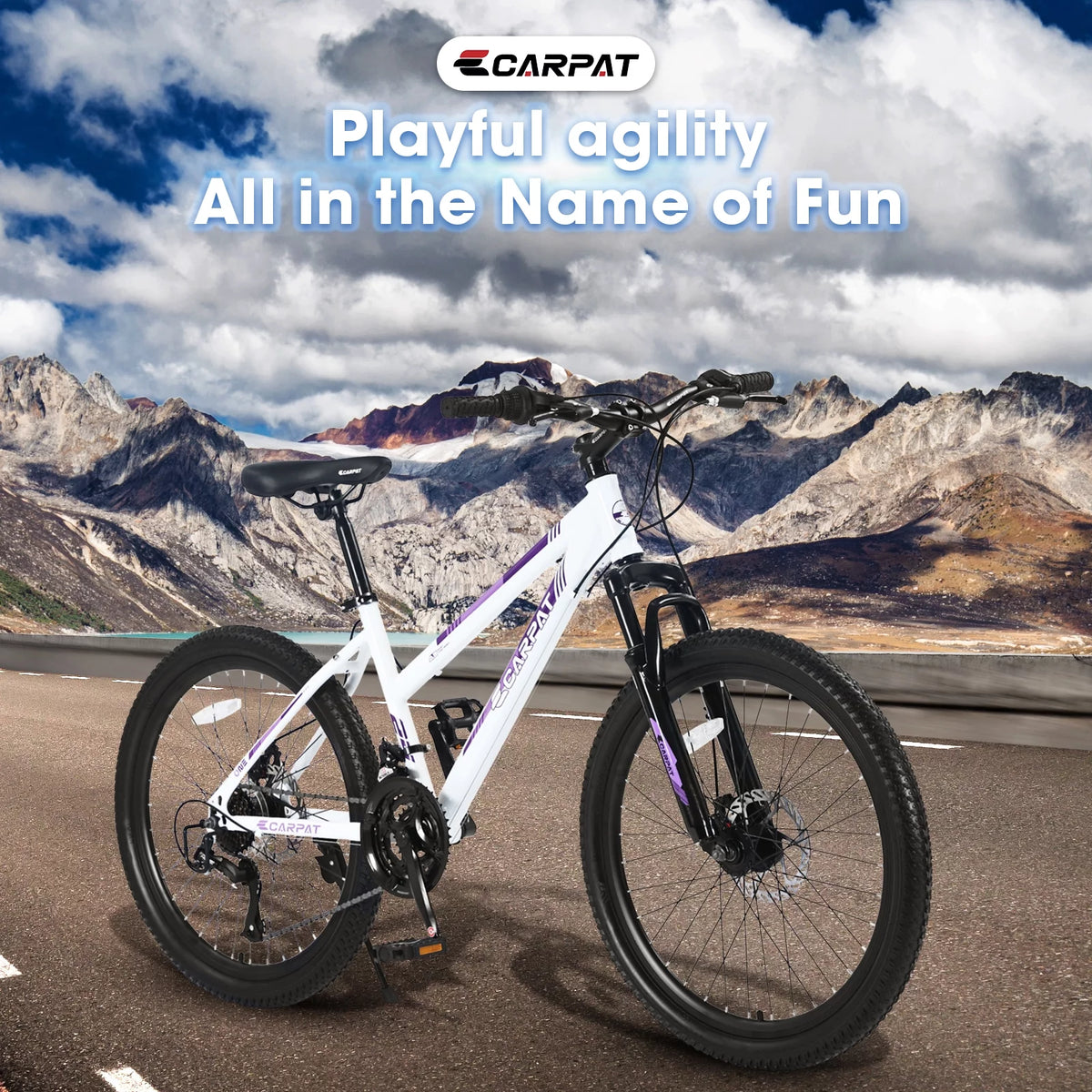 24 inch Kids Mountain Bike with Disc Brakes & 21 Speed E494