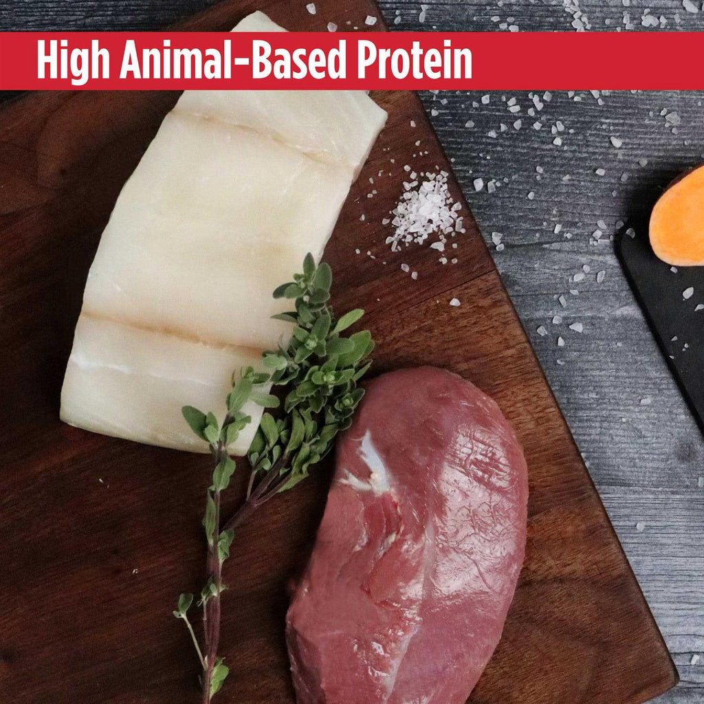Grain-Free Salmon & Sweet Potato Dry Cat Food E5587