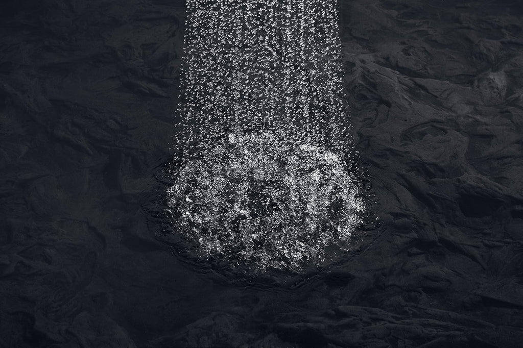 Polished Chrome Showerhead O139199