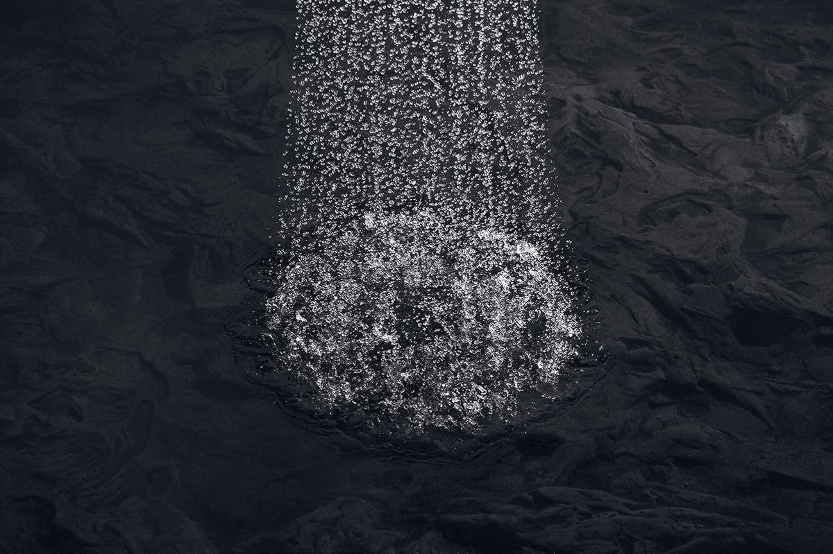 Polished Chrome Showerhead O139199