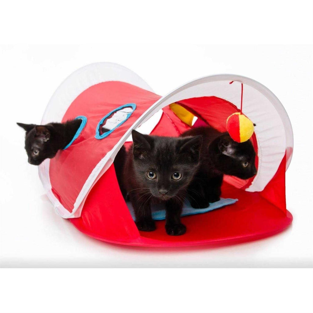 Cat Toy P882