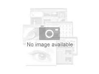 Portuguese (Brazilian) License 1 User ESD Win F991