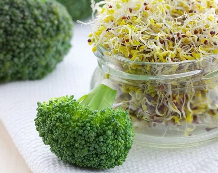 Broccoli Sprouting Seeds 5 Pounds K6166