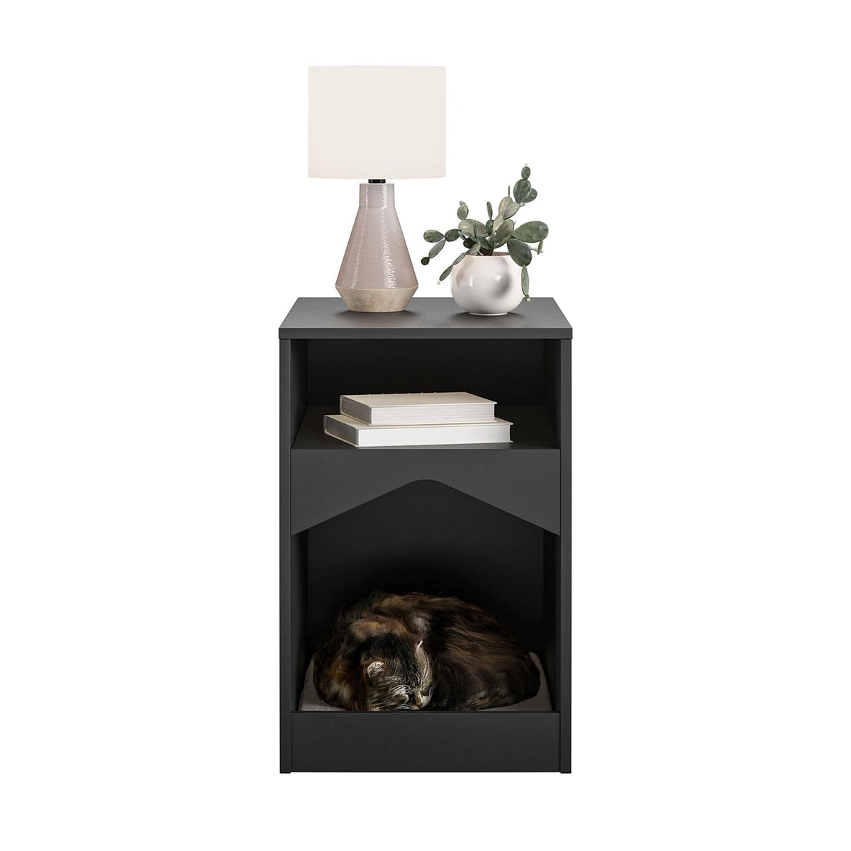 Black Cat House End Table W9881