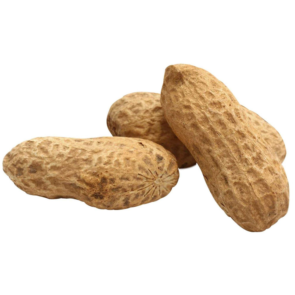 Unsalted In-Shell Whole Peanuts Bird Food M114