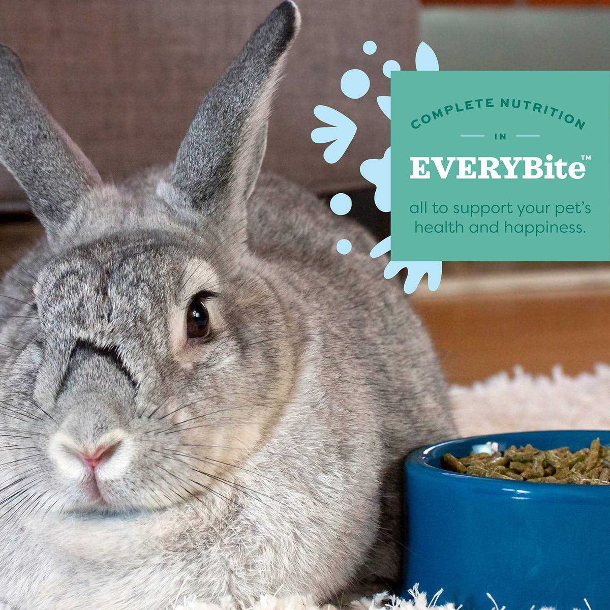Senior Rabbit Food P7720