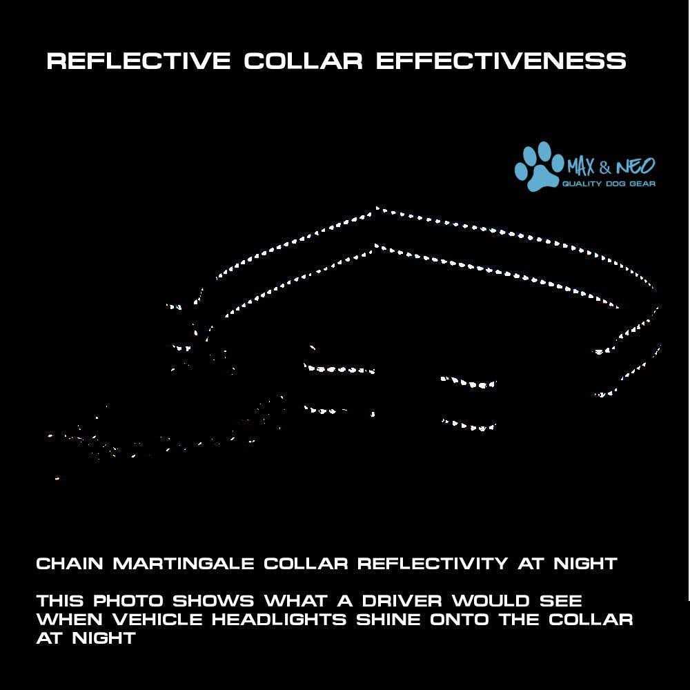 Stainless Steel Chain Martingale Collar U563