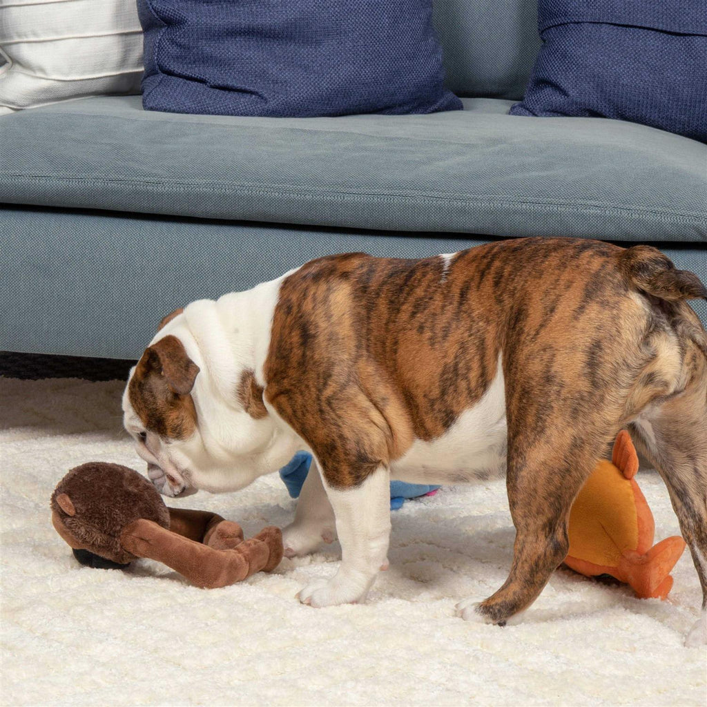 Plush Squeaker Dog Toy Q627