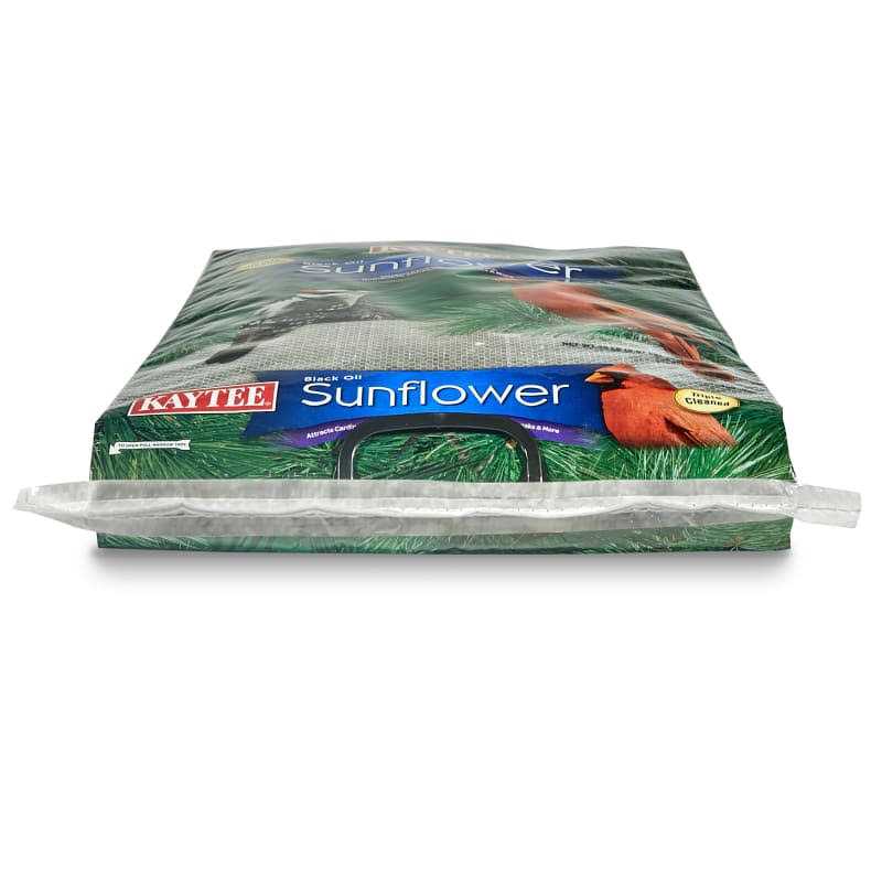 Black Oil Sunflower Food Y635