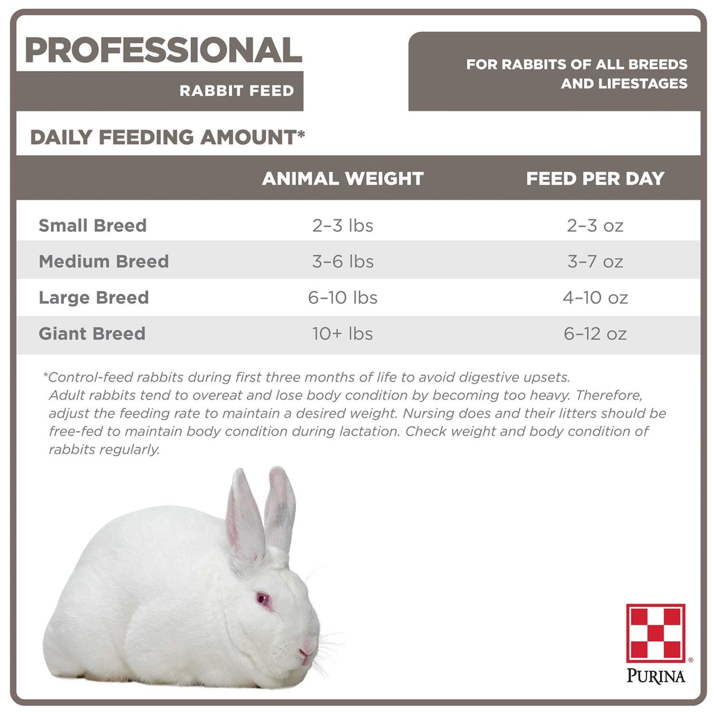 Rabbit Feed O400799