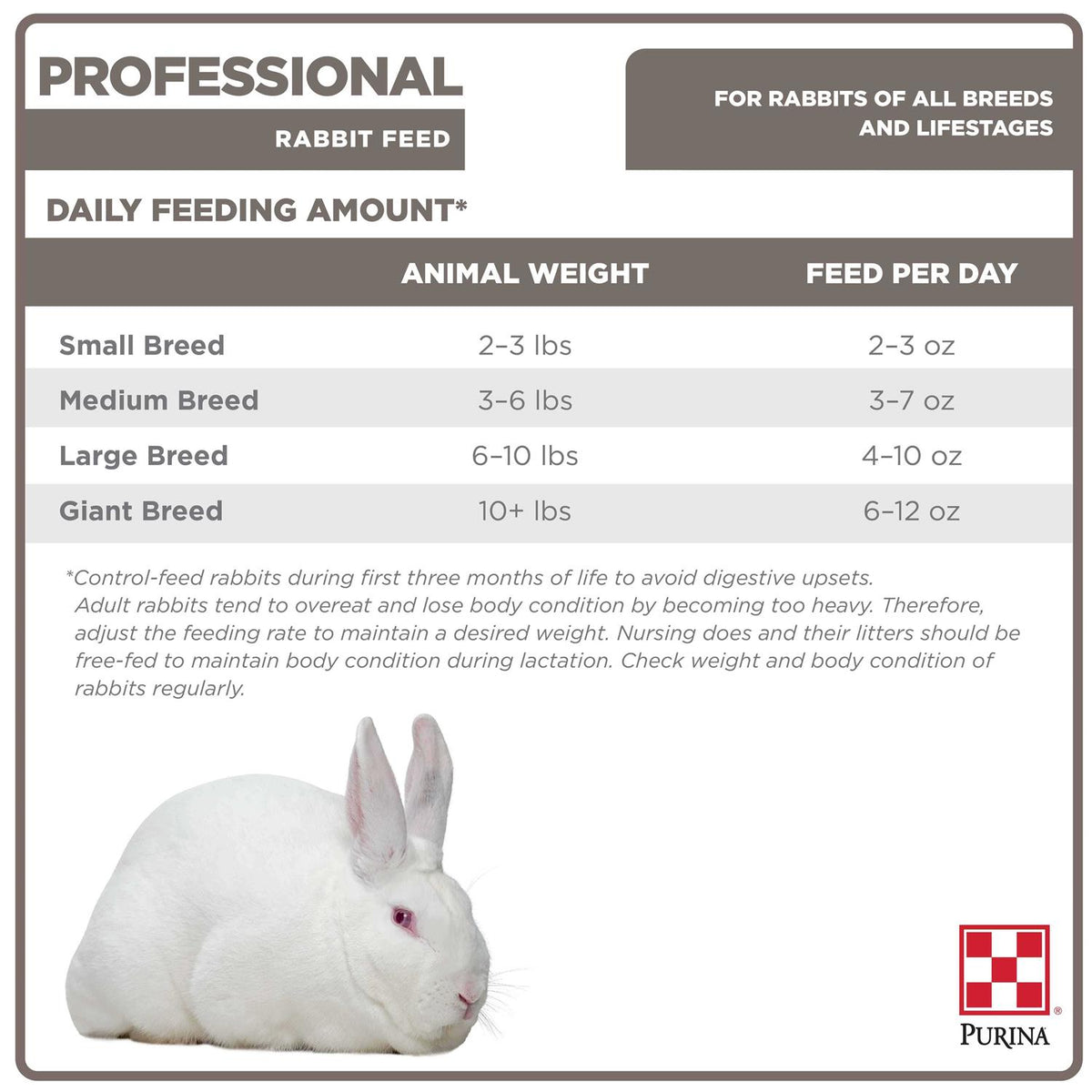 Rabbit Feed O400799
