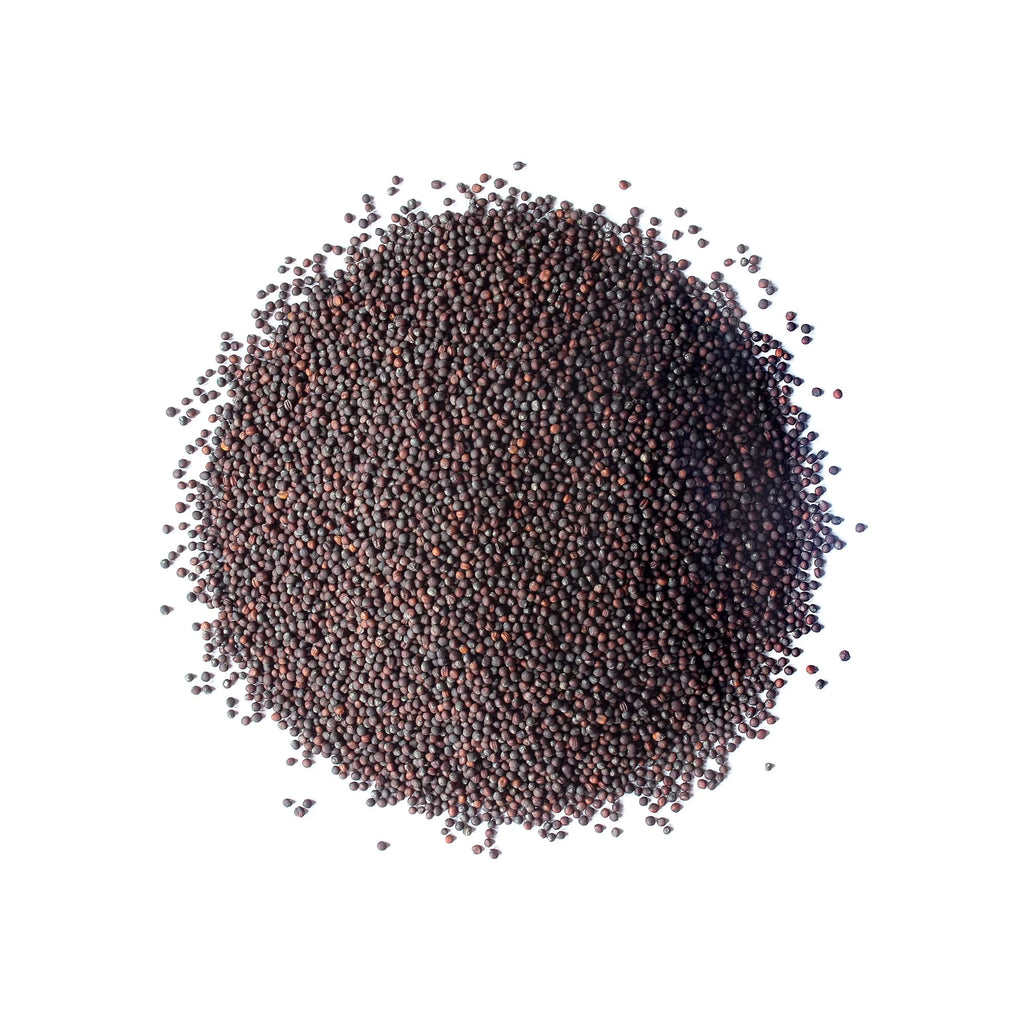 Broccoli Sprouting Seeds 5 Pounds K6166