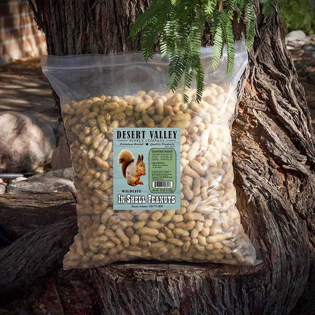 Peanuts in Shell S212091