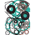 Professional Gasket Set with Oil Seals D85363