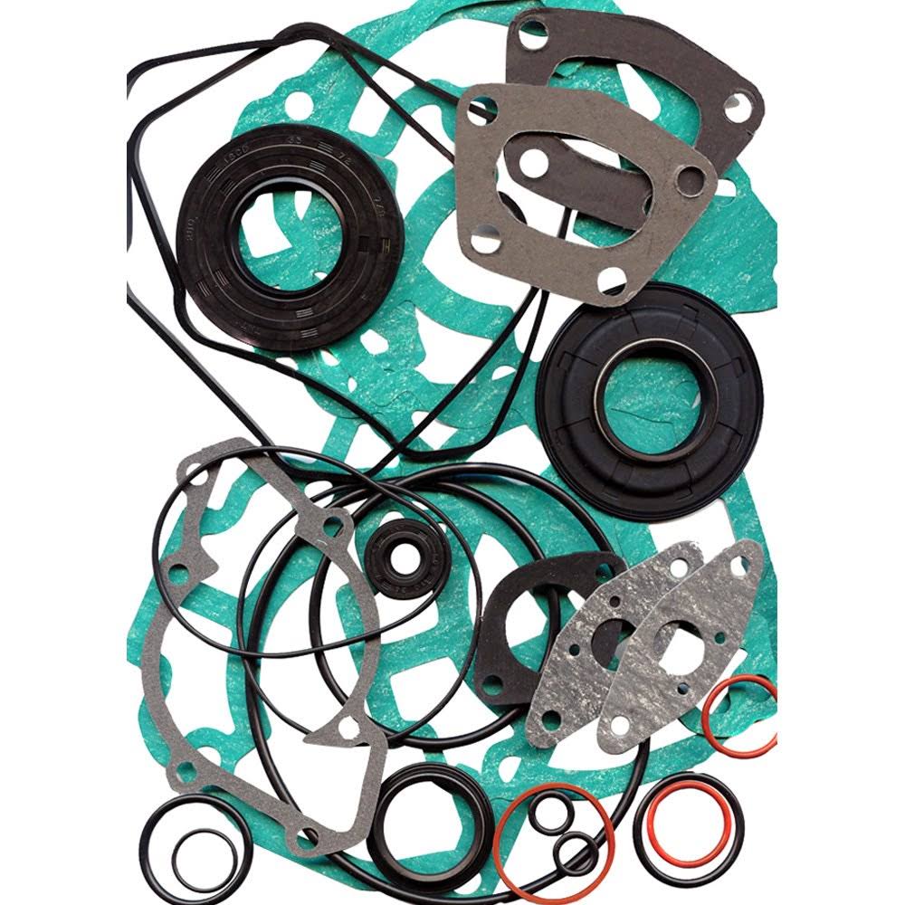 Professional Gasket Set with Oil Seals D85363