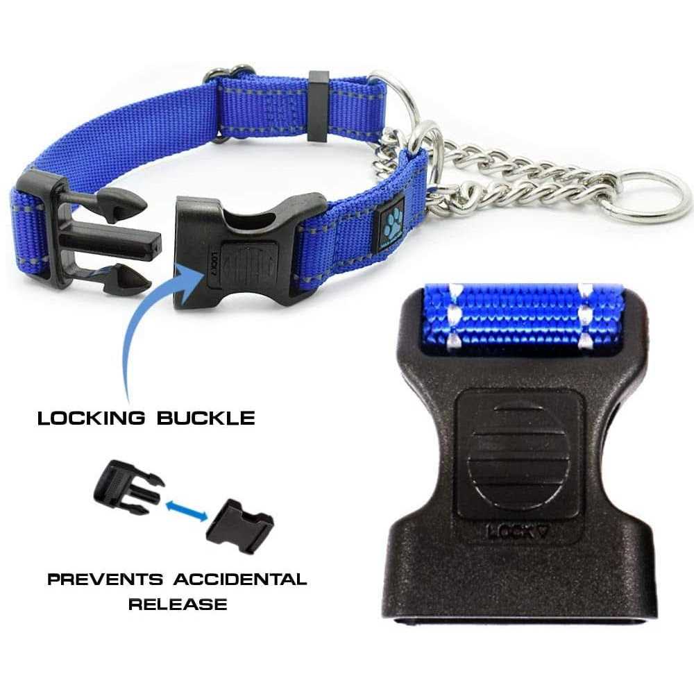 Stainless Steel Chain Martingale Collar U563