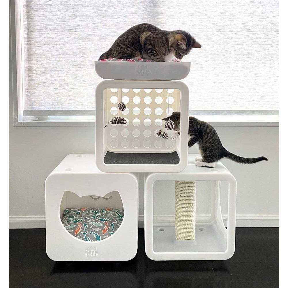 Cat House G621199
