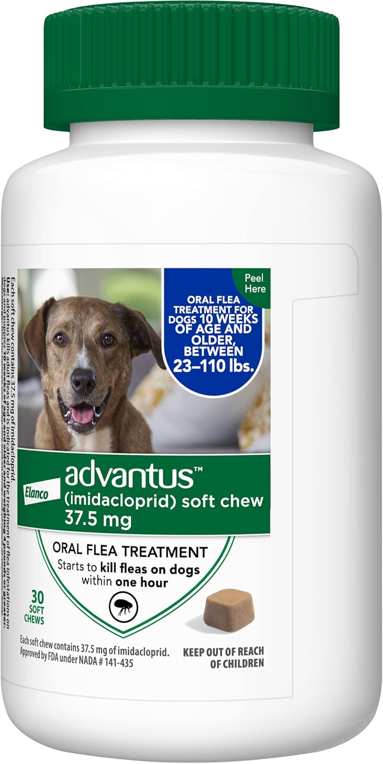 Chewable Flea Treatment for Large Dogs, 23-110 Pounds, Pack of 2 B983