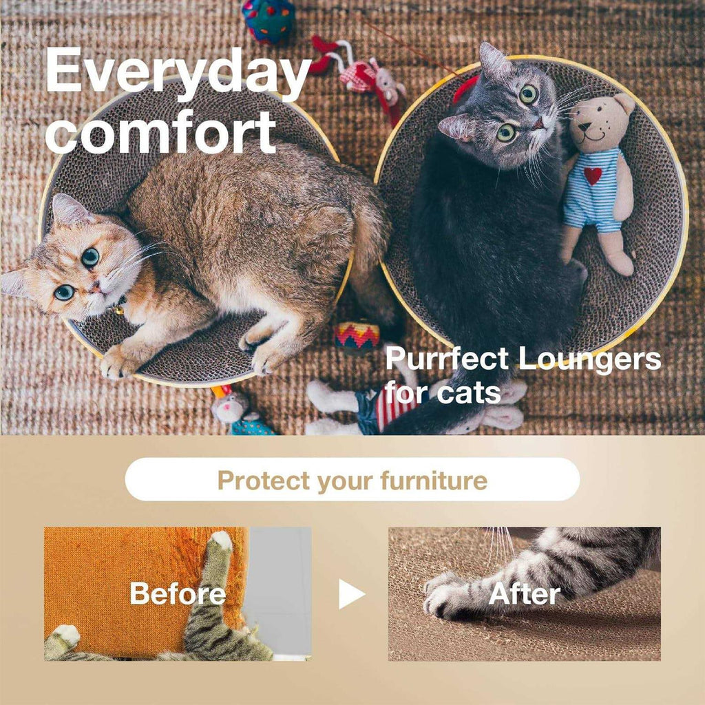 Cat Scratcher Bowl R872