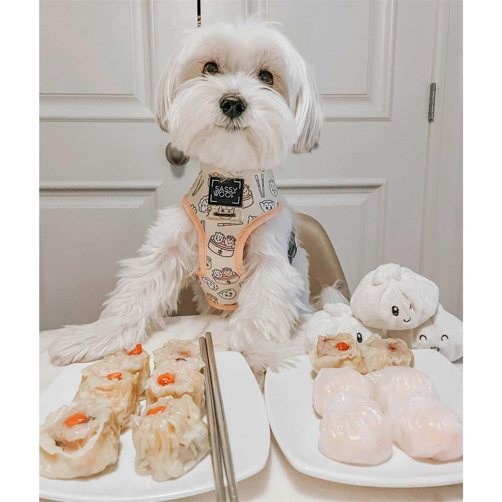 Reversible Dog Harness Y8119