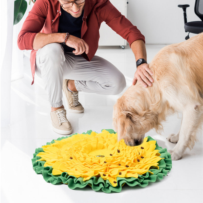 Snuffle Mat for Dogs, 26 Inch R999