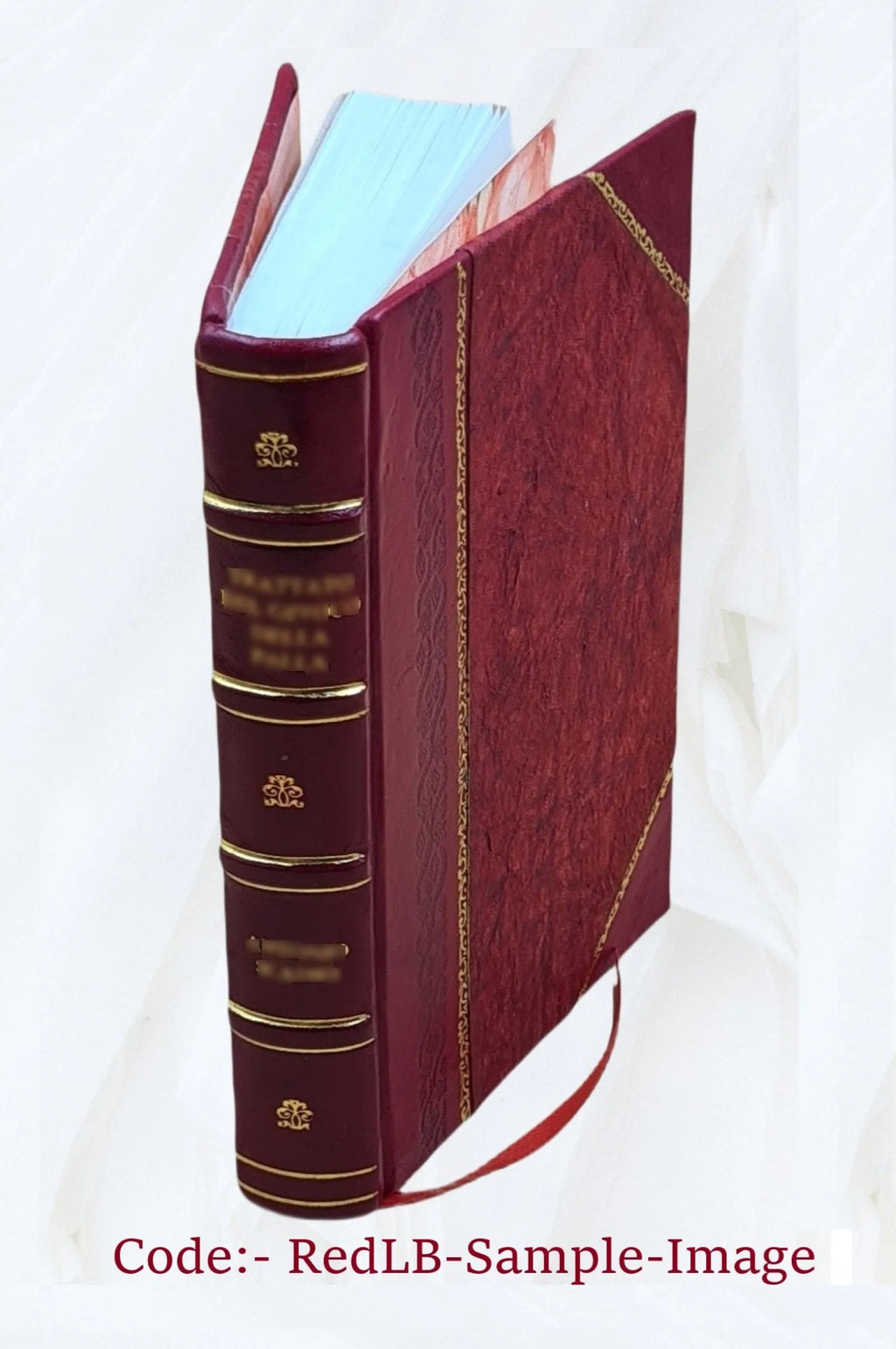De Officiis Hominis Et Civis Libri Duo W834