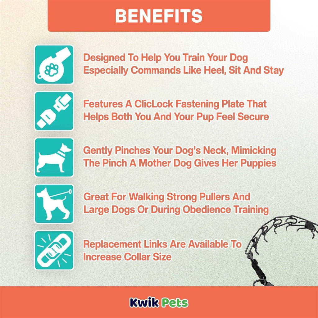 Stainless Dog Prong Training Collar J680