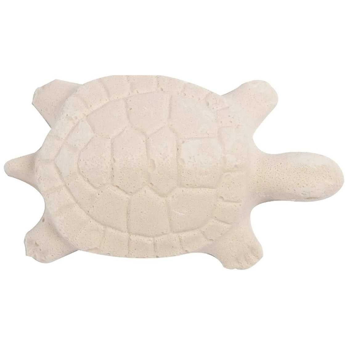 Turtle Health Conditioner C891